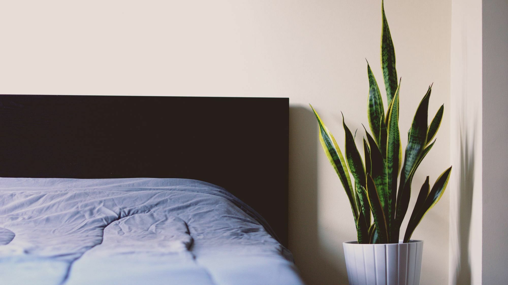 Apartmentel - Masteri Thao Dien Ho Chi Minh Zewnętrze zdjęcie